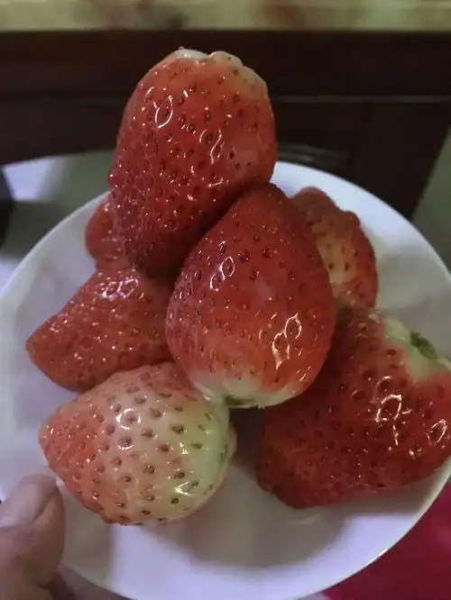 饭后水果草莓