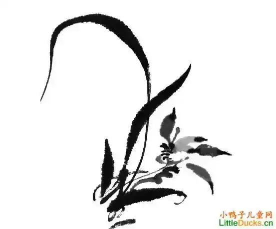 我也是国画初学者,国画初学的是兰花,附图