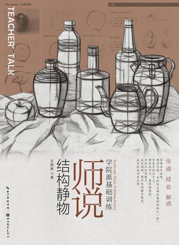 师说结构静物书王丽君静物画素描技法 艺术书籍