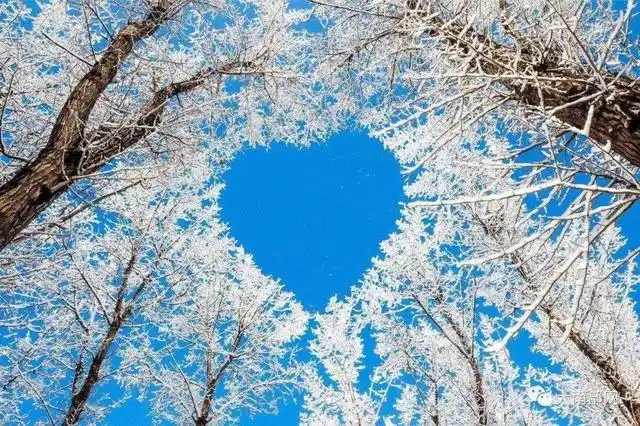 温暖人心的唯美句子,静心治愈,总有一句能打动你