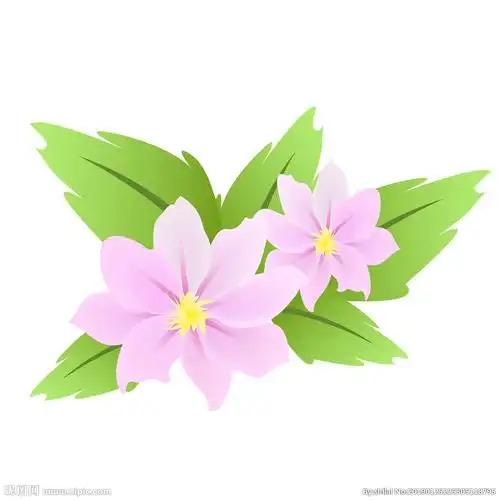 矢量花卉设计图__图片素材_其他_设计图库_昵图网nipic.com