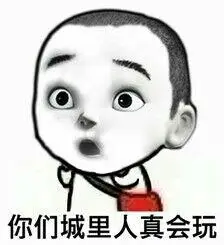 你们城里人真会玩_真会_城里人_你们表情