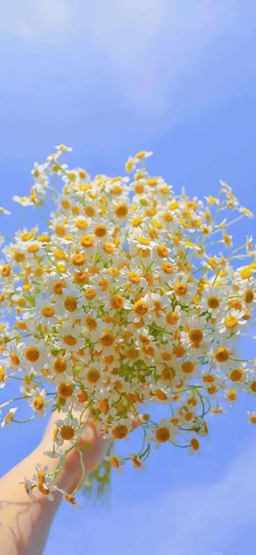 壁纸:精选高质量手机壁纸(388)期,治愈系壁纸.关于【手机纸壁.