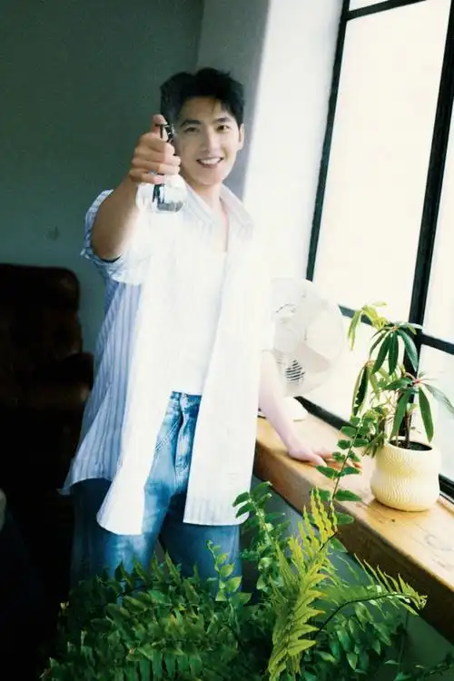 亿点曝光计划##杨洋##ip风向标