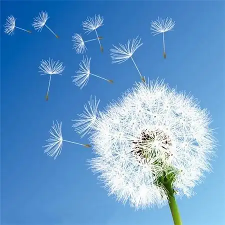 给人一种阳光的头像高清唯美阳光干净的微信头像图片