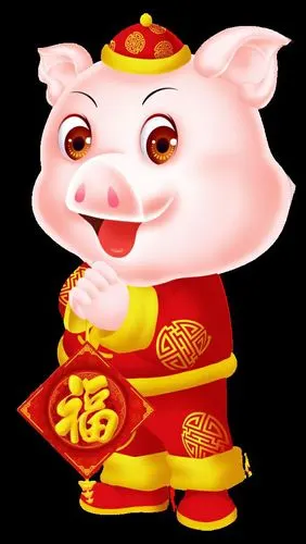 喜气洋洋的猪年