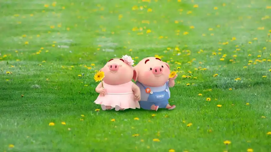 2020年7月29日 13:49   关注  评论 收藏