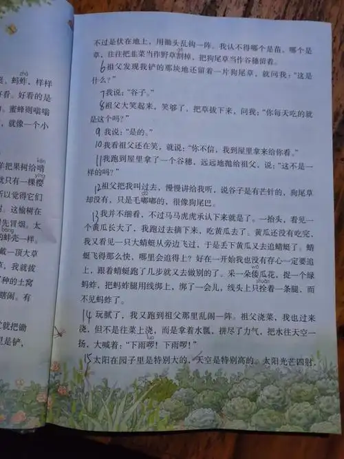 五年级下册语文祖父的园子要怎样学一线老师为你解惑