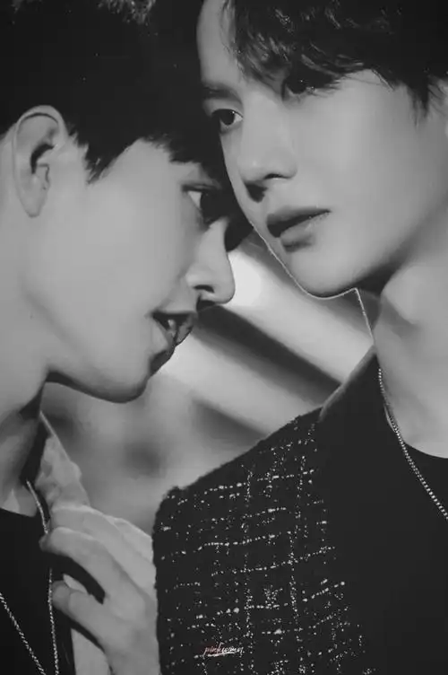 王一博舍下圈套