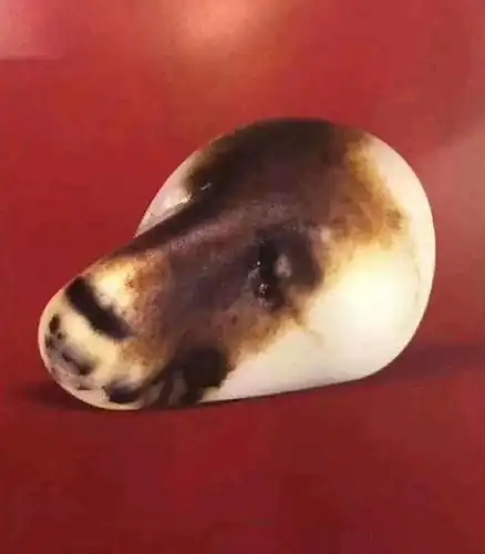 奇石为什么使人着迷