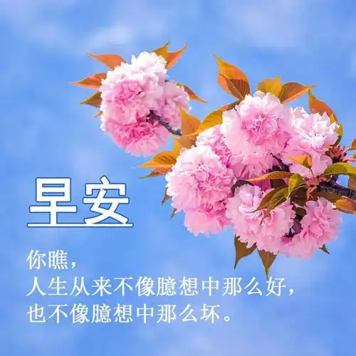 早安的句子搭配暖心图片传递清晨的第一缕温暖