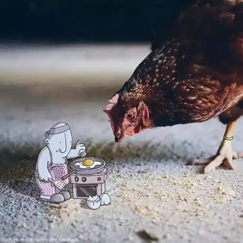 照片上风趣幽默的插画