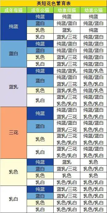 如何繁育出好看的猫咪幼崽?猫:放着我来!