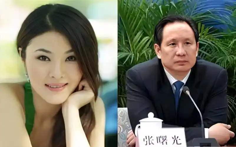 锒铛入狱5年的女歌手罗菲