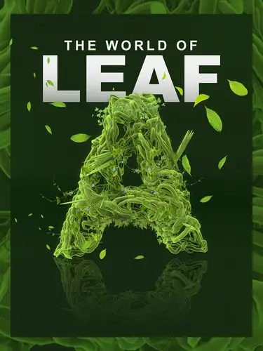 c4d域力场制作三维字体海报