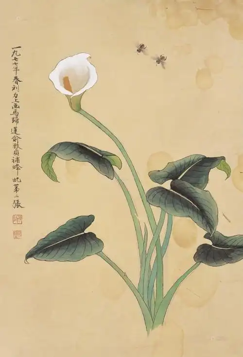 一枝独秀一一高雅的马蹄莲(散文)