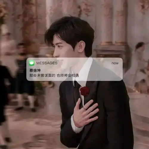 【微信头像】蔡徐坤