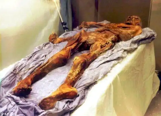 科学家发现冰人奥茨19名现世后代图