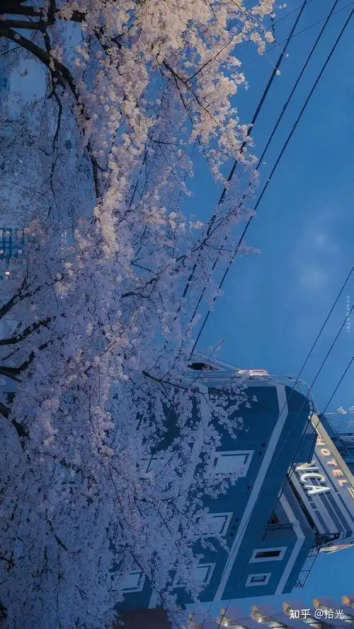 蓝色主题壁纸|蓝色手机壁纸高清全屏|绿色系ins少女心壁纸|淡蓝色壁纸