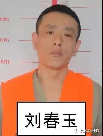 安达市公安局公开征集范玉,李志军,黄玉峰等人涉黑违法犯罪线索通告