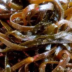 武汉周家黑鸭的海带好不好吃?用户评价口味怎么样?