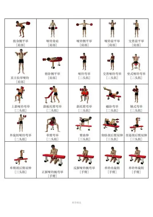 哑铃锻炼方法图解