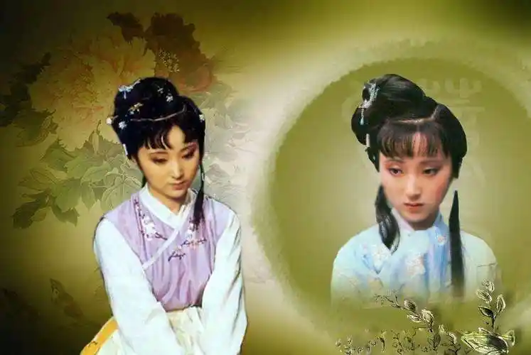 陈晓旭为什么出家了(陈晓旭出家视频)