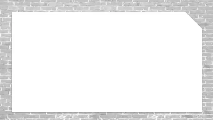 这是4张砖墙ppt背景图片.灰色砖墙使用了清新绿叶,与白色文本框装饰.