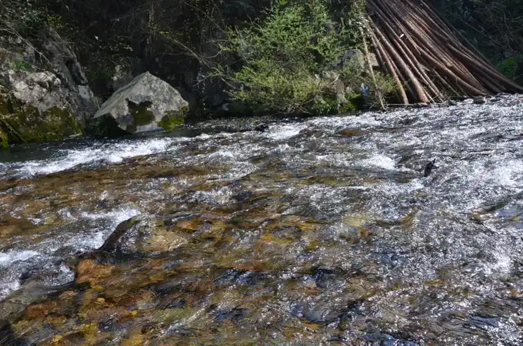 清澈的小溪 溪水应该直接都可以喝了