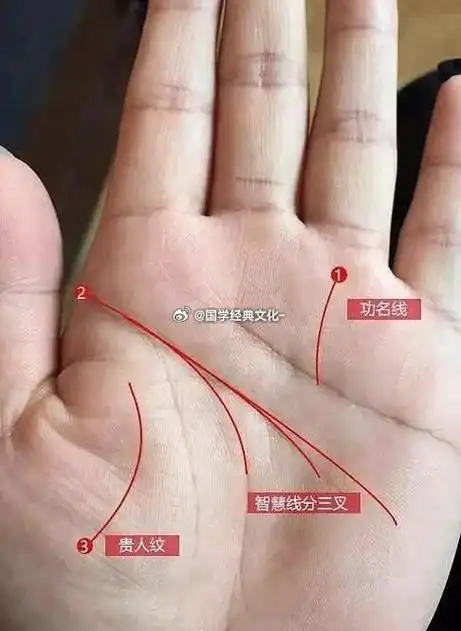 富贵的手相人的手掌上,有许多条纹路,摊开手掌,如若手掌中心的那条线