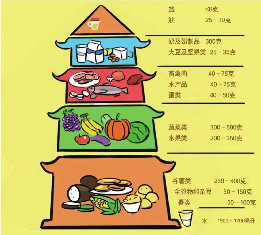中国居民平衡膳食宝塔结构 在每顿饭中谷薯类,蔬菜类分别占到27%～35%