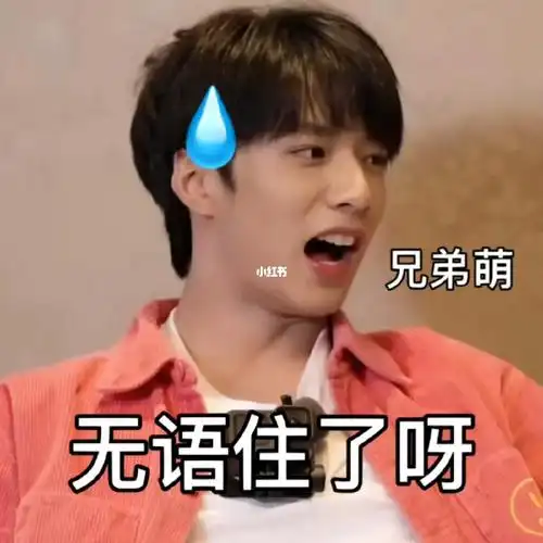 时代少年团表情包十一