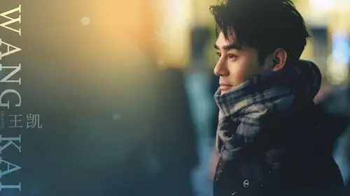 王凯- 堆糖,美图壁纸兴趣社区