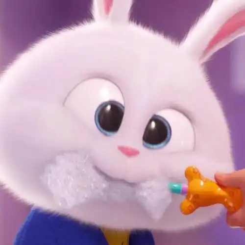 有爱宠大机密里面兔老大好看的头像吗