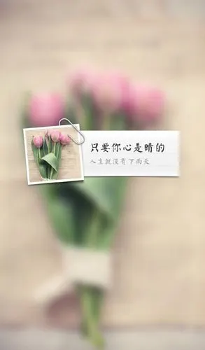 相信自己 明天会更好