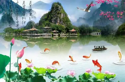 鱼嘻荷花图图片