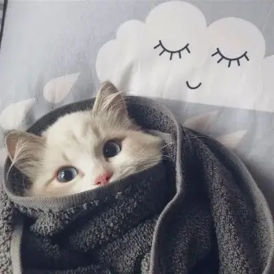 首页 头像 qq个性头像