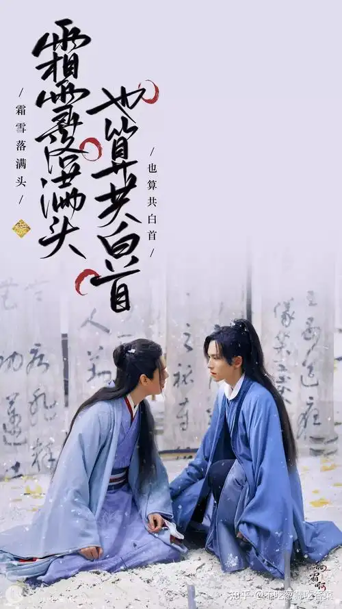 山河令电视剧你看了么