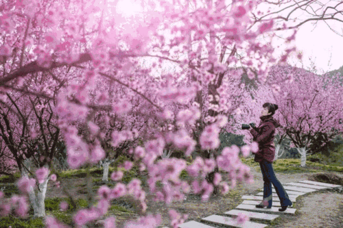 640_426gif 动态图 动图