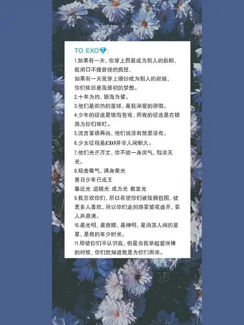 九年爱丽收集的exo追星文案
