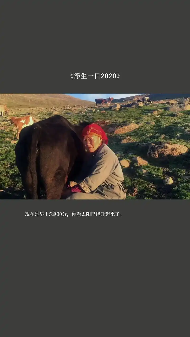 电影推荐《浮生一日2020》经典语录.#因为一句台词看一场电 - 抖音