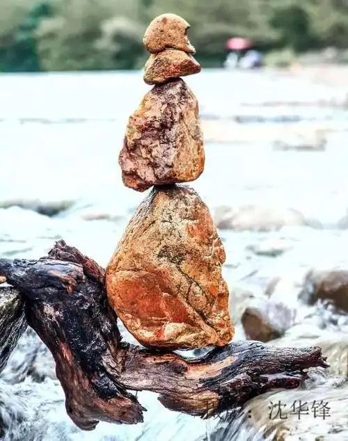 仙居有一位大叔用石头堆成水中美景