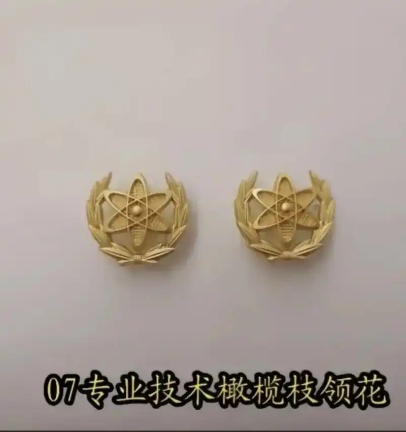 武警军装领花一共分六种.分别是武警警官橄榄枝领花,武警战士松枝领花