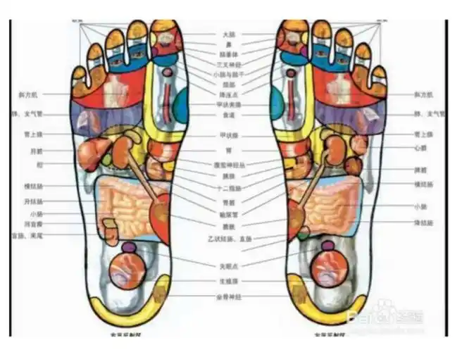 生活 足底穴位养生 写美篇足底前半部按摩
