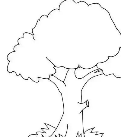 大树简笔画的简单画法