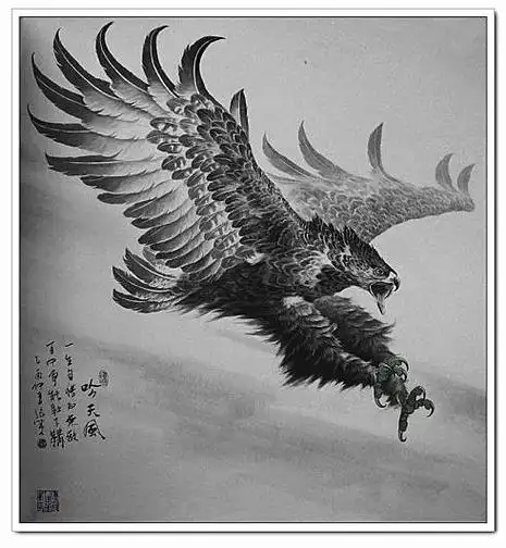 鹰姿神态张策雄鹰绘画作品大观