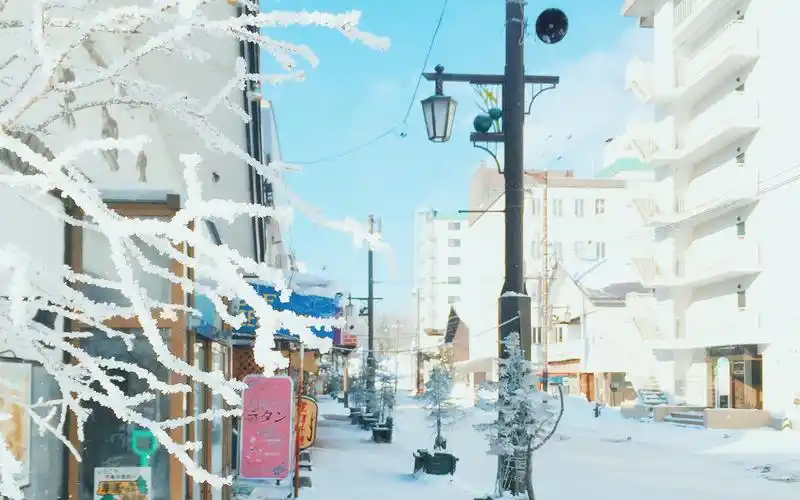 北海道雪景唯美自然高清桌面壁纸