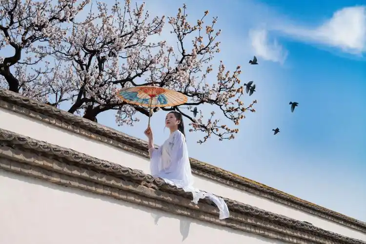 一枝红杏出墙来