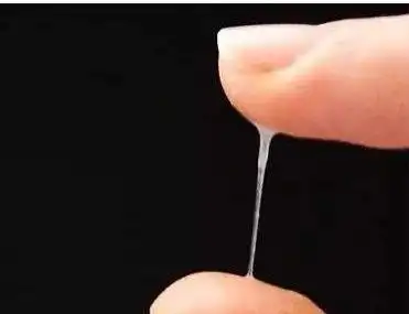 阴道的分泌物(白带)主要为蛋白质,蛋白质本身很容易"招揽"细菌,正常