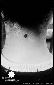 黑桃纹身,广西北海纹身店刺青猫纹身作品